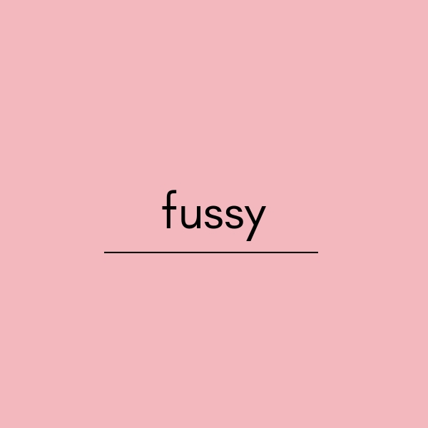 英語の「fussy」の意味と使い方について